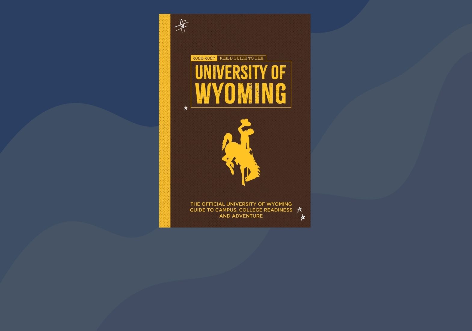 graphic of the first year viewbook