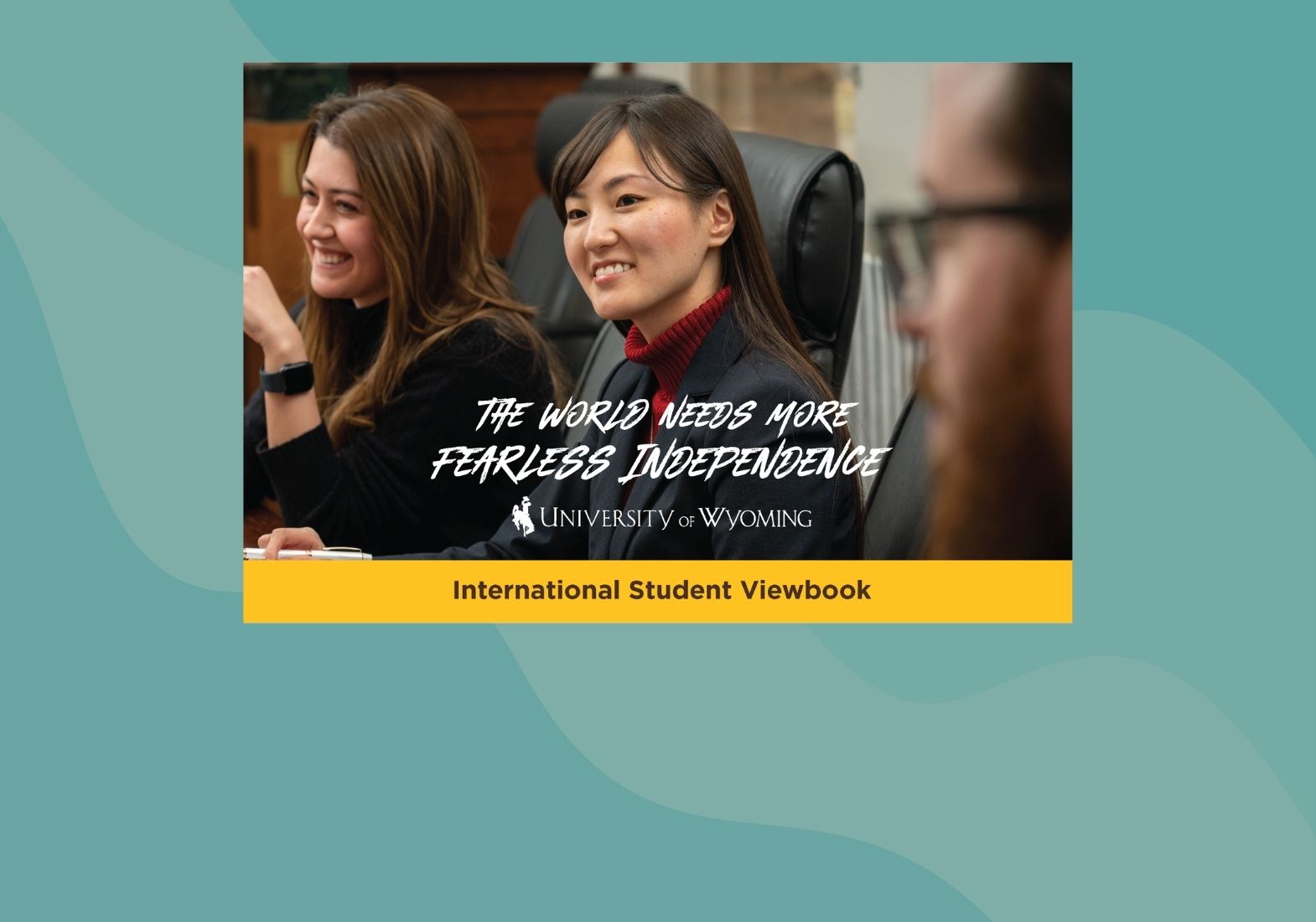 graphic of the international viewbook