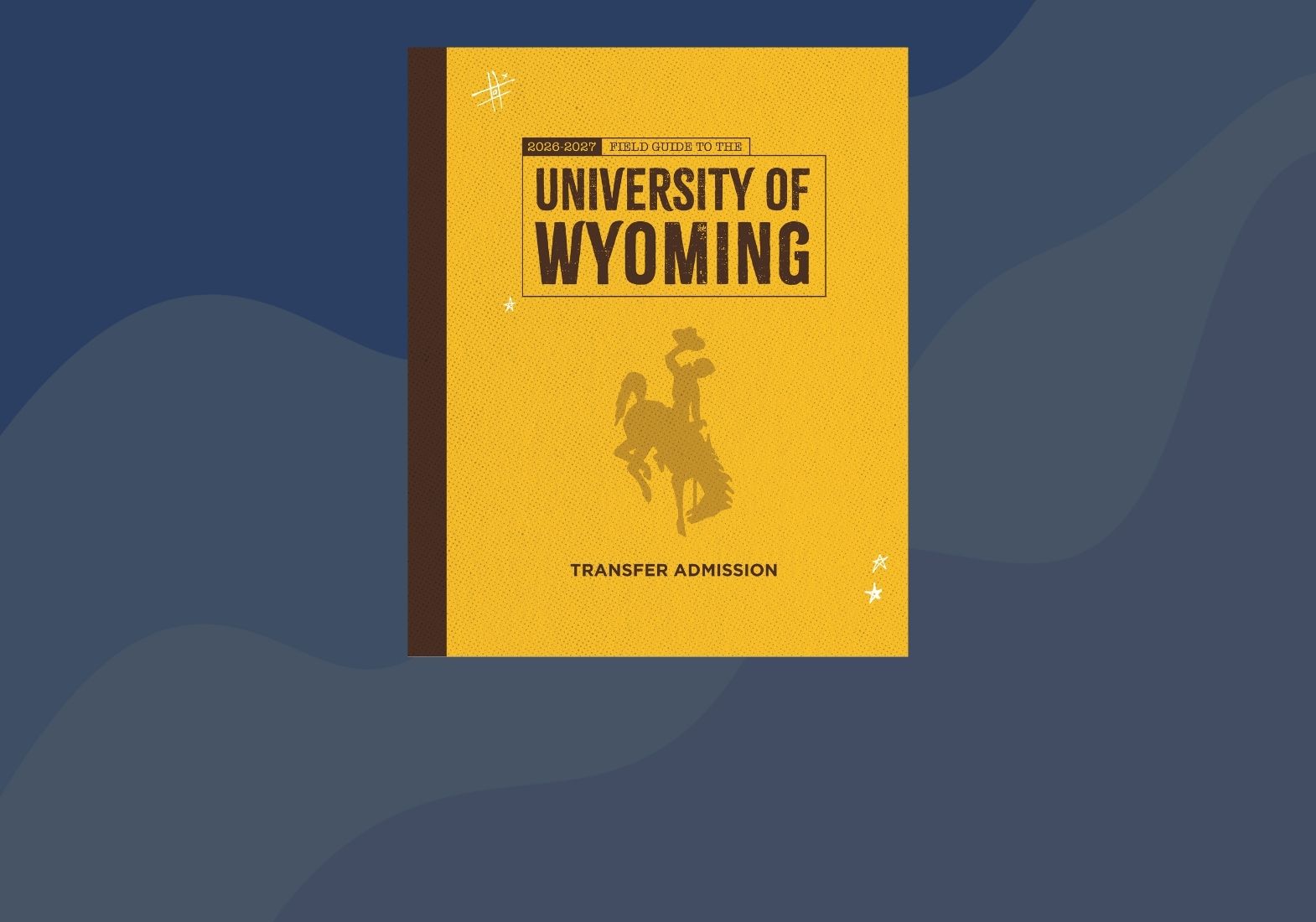 graphic of the transfer viewbook