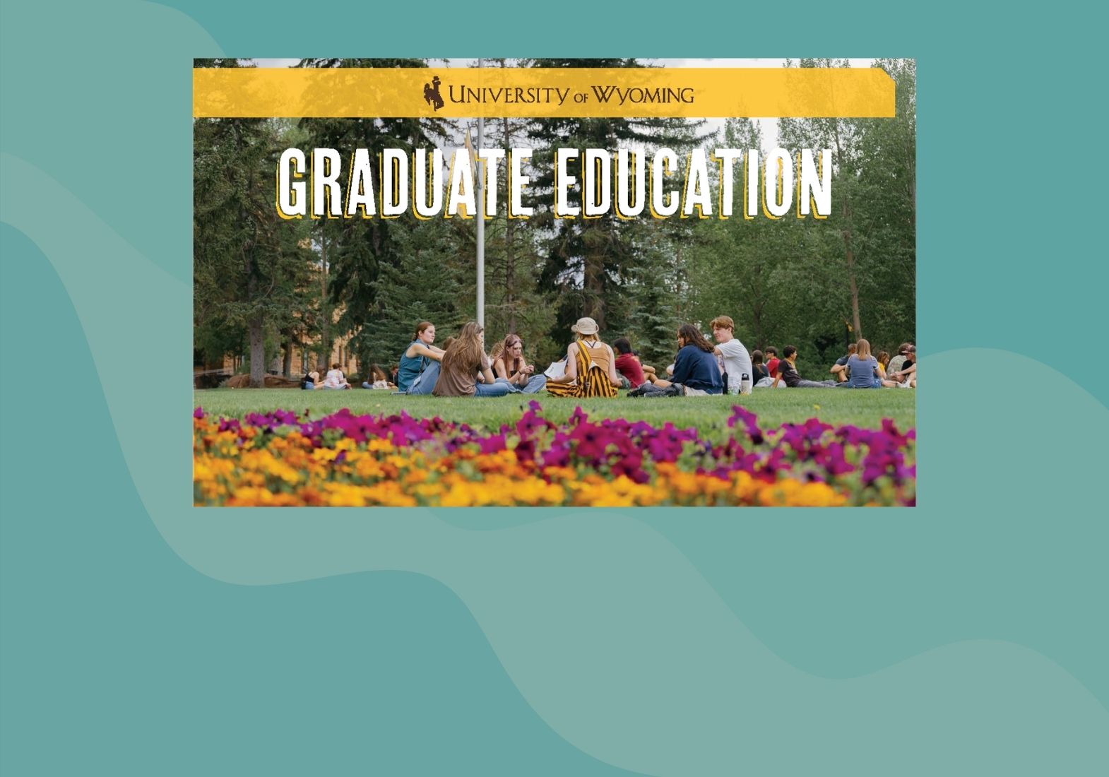 graphic of the graduate viewbook