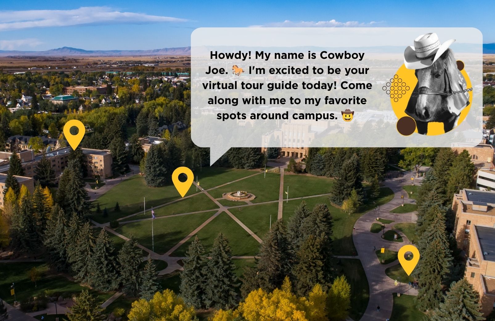 text message from Cowboy Joe