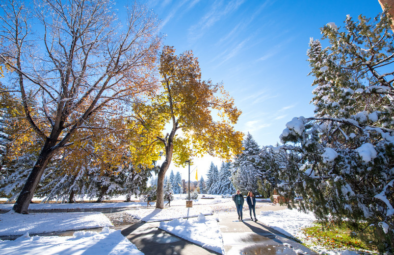 Winter campus