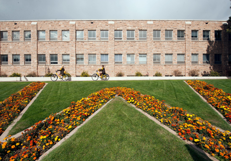 Flower beds near the Hoyt Hall Future Cowboy parking area
