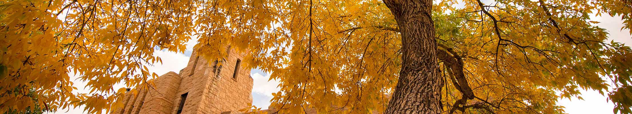 Wyoming Union building in fall.