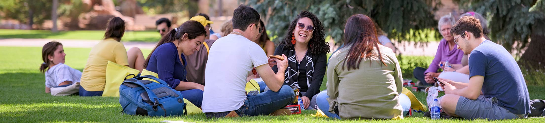 A group of students sit under a large spruce tree laughing.