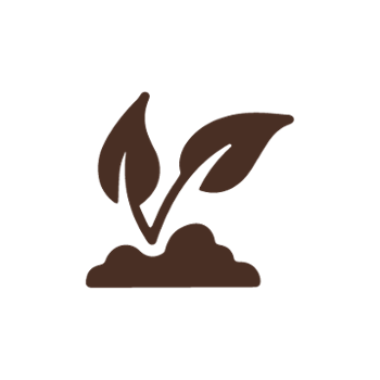 Growing plant icon