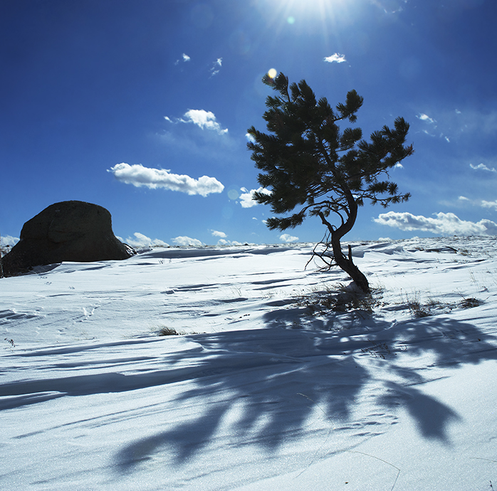 wyoming public lands to study by a graduate assistant in the agricultural and applied economics masters program at UW