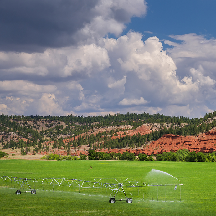 Economics of Irrigation