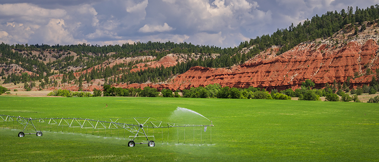 Economics of Irrigation