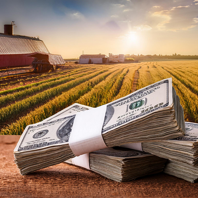 Economics of Wage Inequality in Agriculture