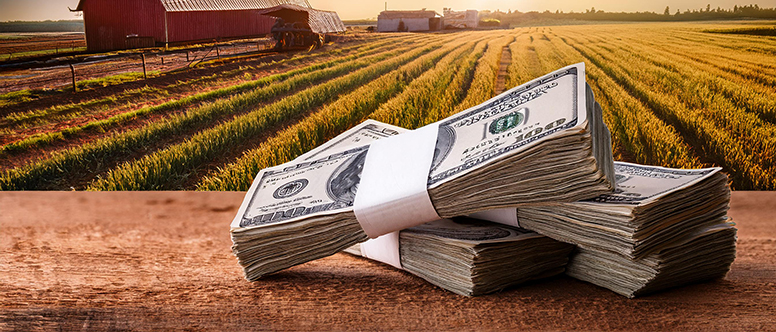 Economics of Wage Inequality in Agriculture
