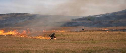 Grassland Wildfire Project