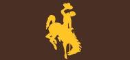 Yellow bucking horse Steamboat