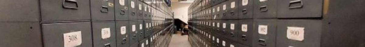 two rows of filing cabinets in a hallway row, long enought to have a vanishing point in the distance