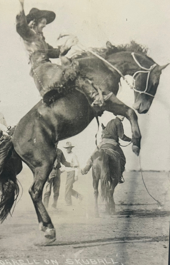 A woman riding a horse standing on it's hind legs.