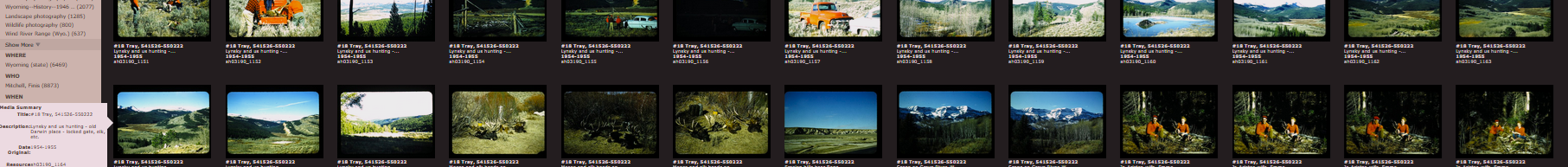 Screenshot from digital archives page