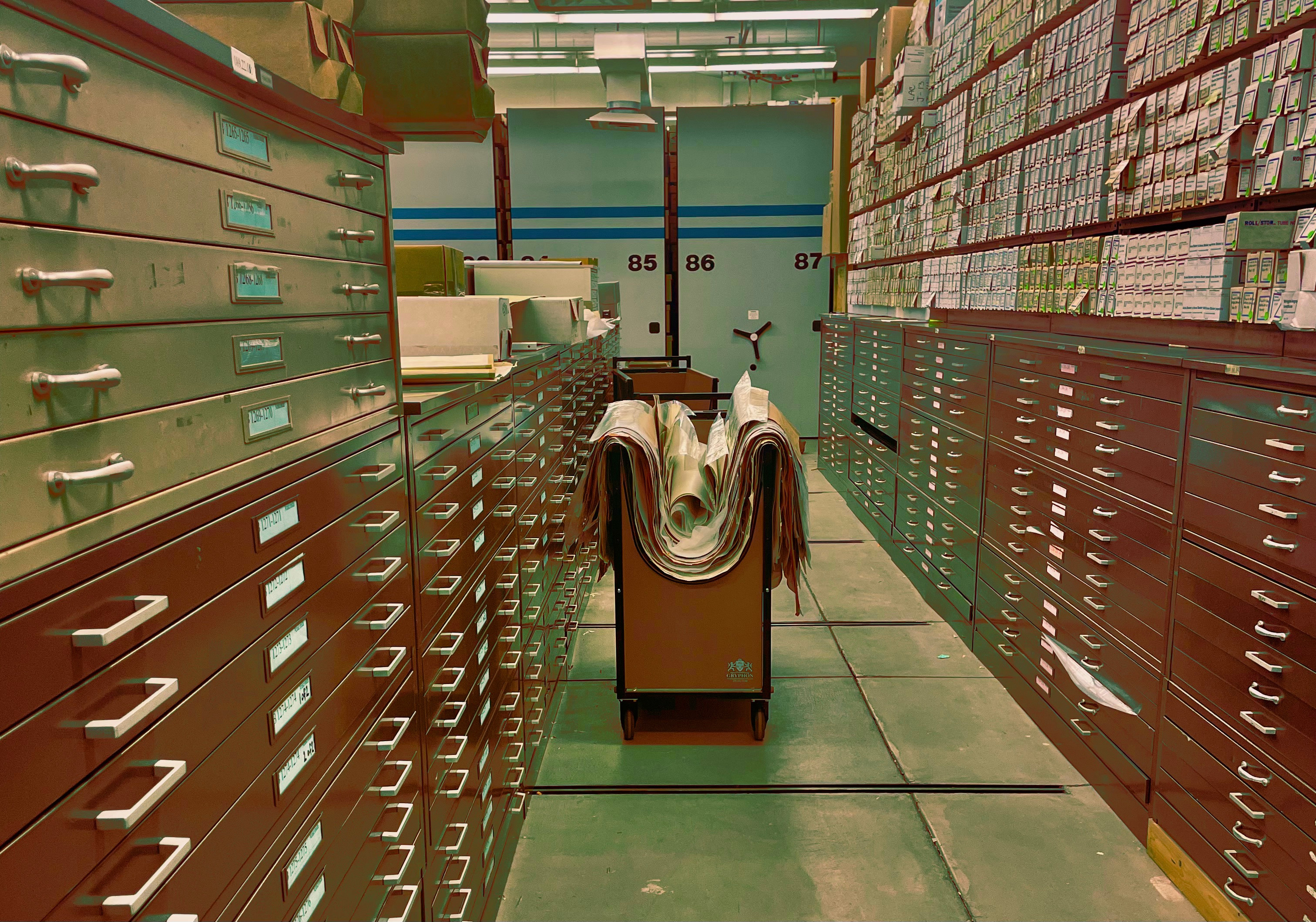 anaconda-maps help up over a table by an archivist