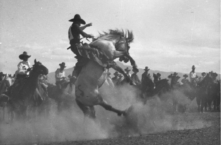 Cowboy on a bucking bronco