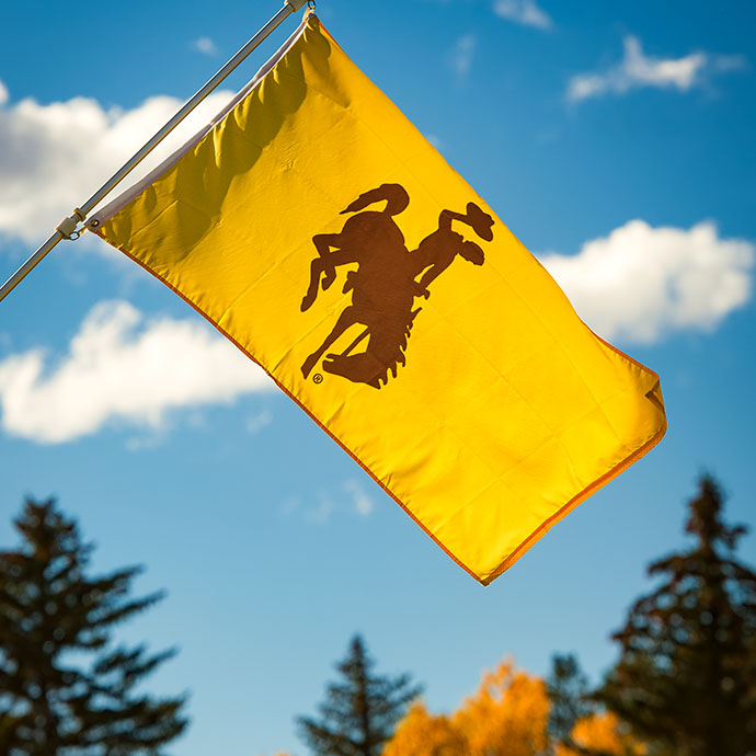 UW gold flag with a brown steamboat with a blue sky background and trees