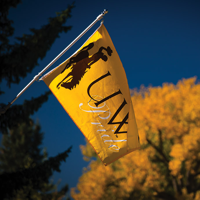 UW pride flag hanging in blue sky