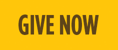 Give Now button