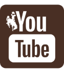 YouTube Logo Icon