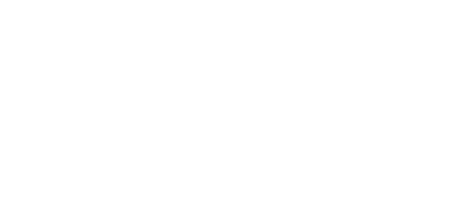 Tulips & Rhine