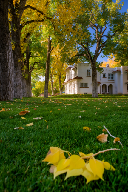 A white house is surrounded by vibrant autumn trees with golden leaves. Yellow leaves dot the lush green lawn, creating a serene, picturesque scene.