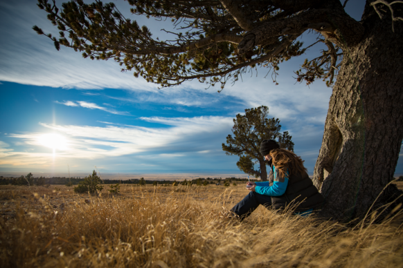 A woman in a blue jacket sits under a tree in a grassy field, looking at the scenic sunset. The sky is wide with clouds, creating a serene atmosphere.