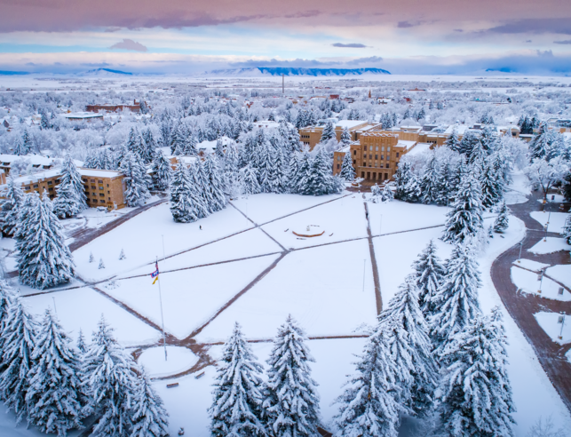 Snow-covered campus with symmetrical paths and evergreen trees, surrounded by historic buildings under a pink and purple sunrise sky, evoking tranquility.