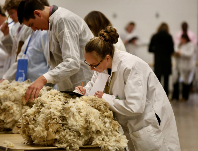 7220 wool Invitational logo