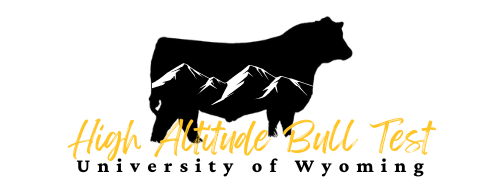 High Altitude Bull Text Logo