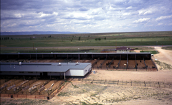 Livestock Pens