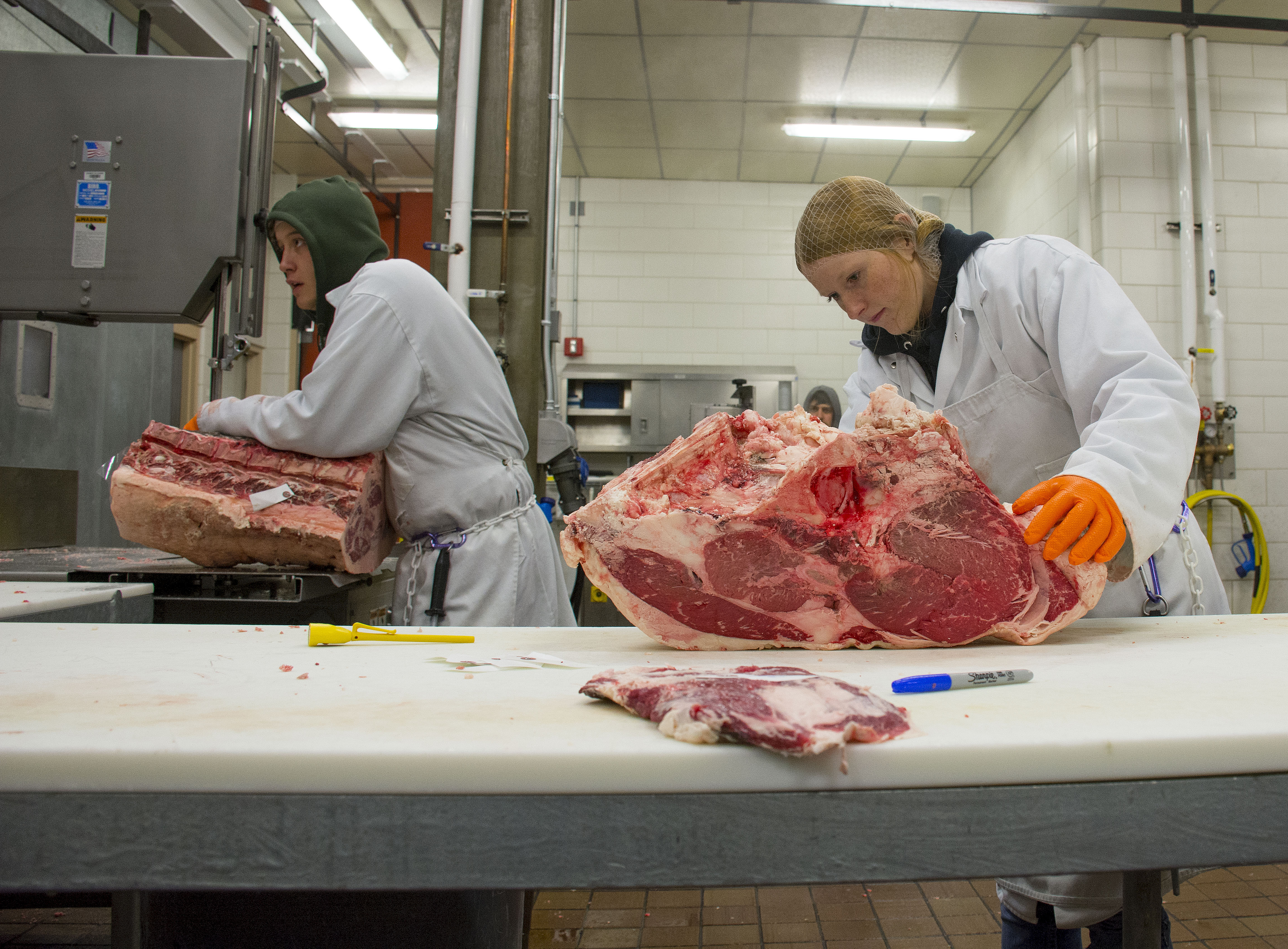 meat-lab_9628.jpg