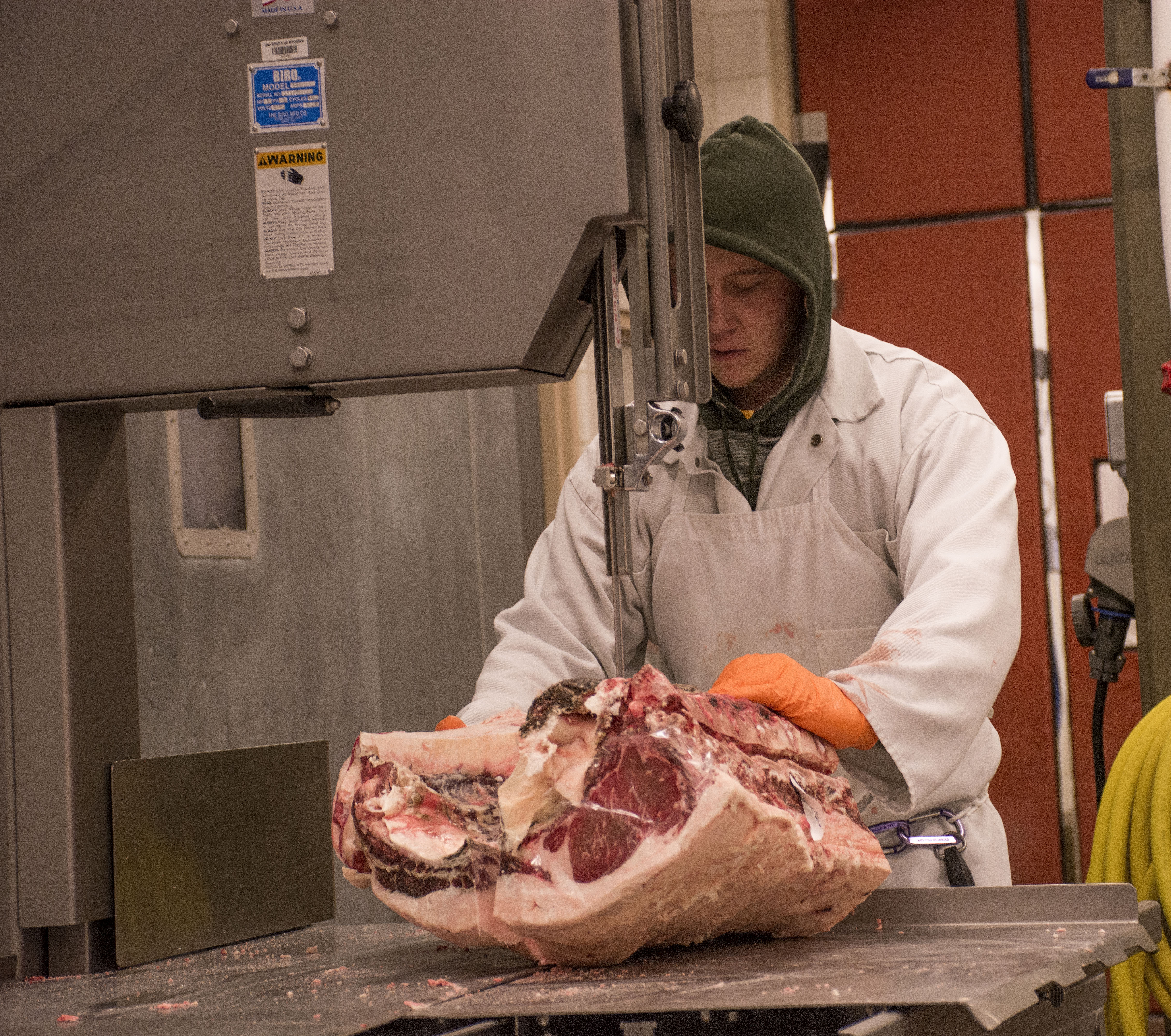 meat-lab_9632.jpg