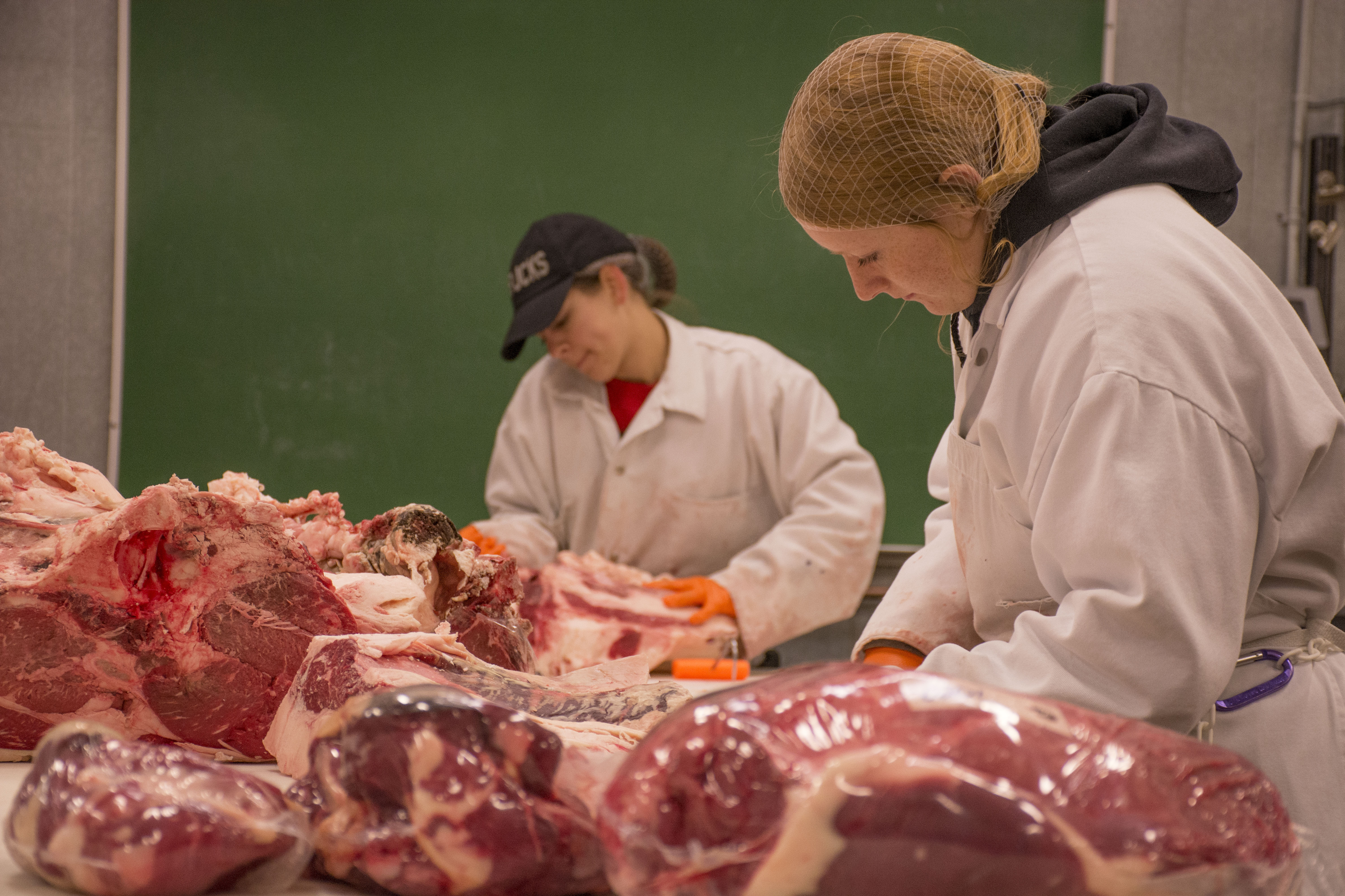 meat-lab_9652.jpg