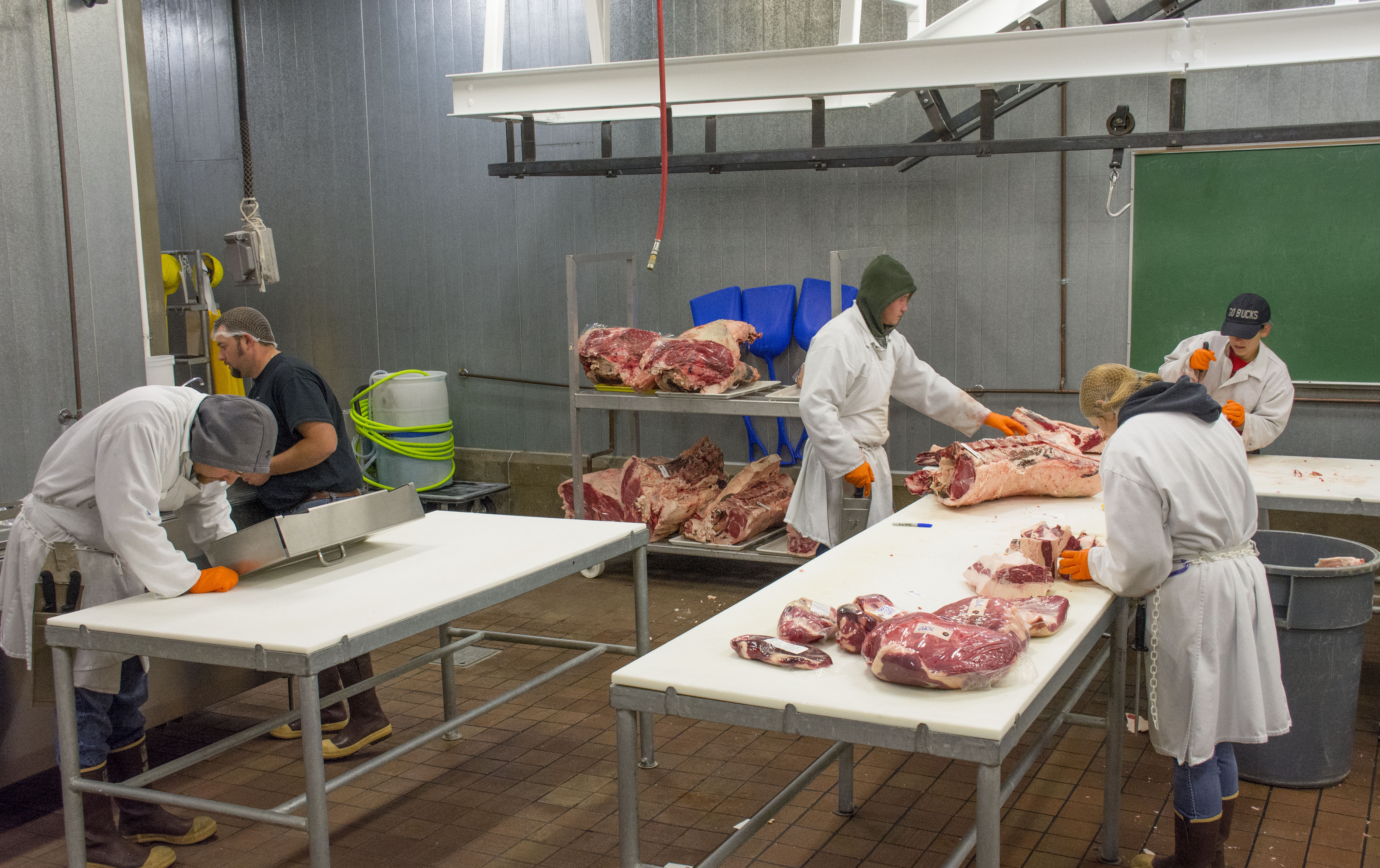 meat-lab_9666.jpg