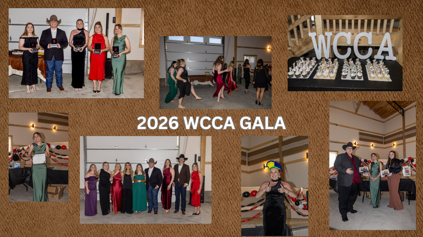 wcca gala