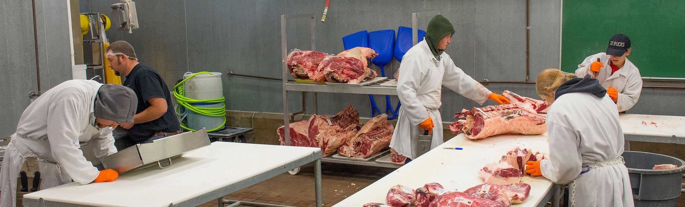 Students working in meat sciences lab