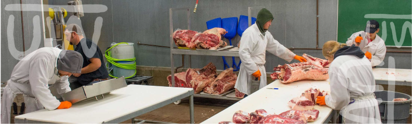 Students working in meat sciences lab