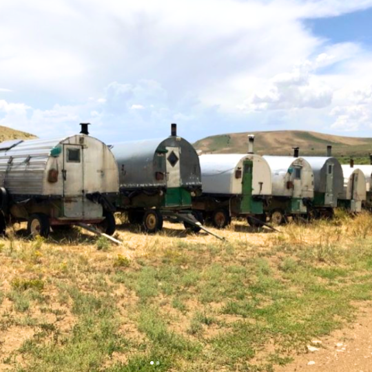 Shepherder wagons lined up
