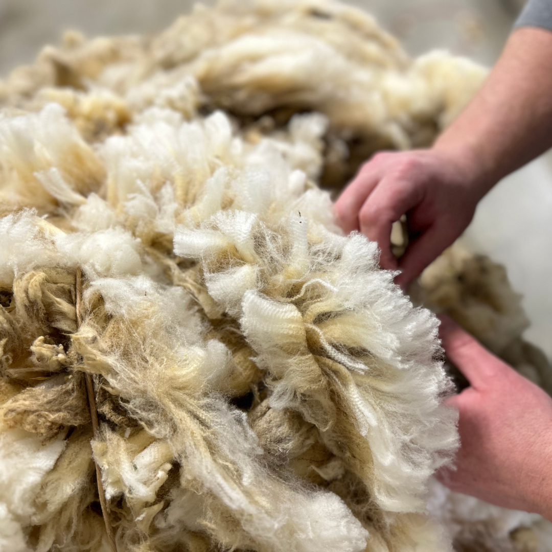 Wool fleece