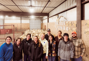students in a barn with sheep behind them