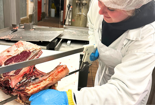 student fabricating lamb