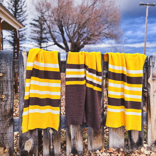 2023-2024 UW Wool Blanket