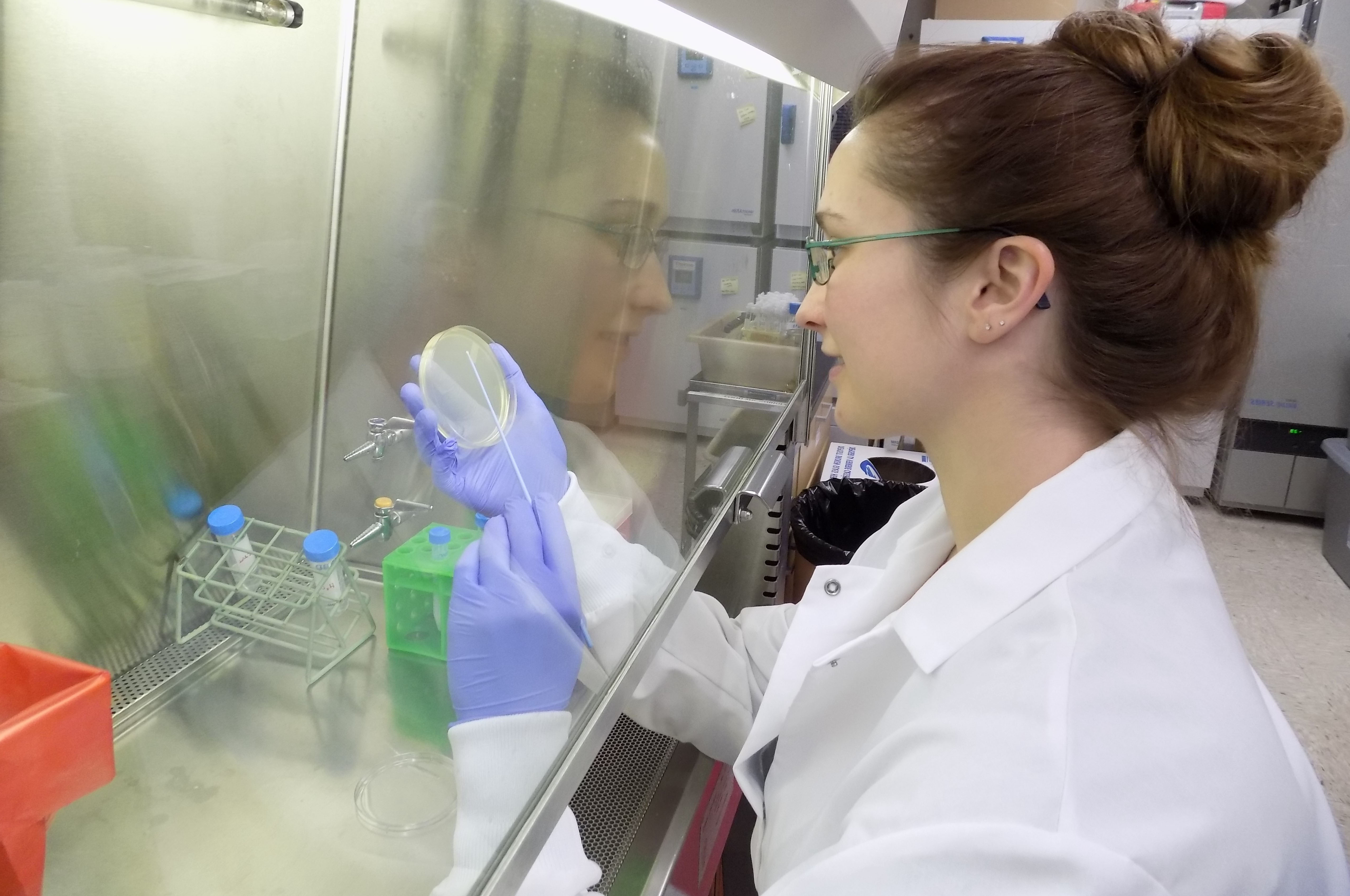 Graduate Student Jen Anders Working in the Lab 