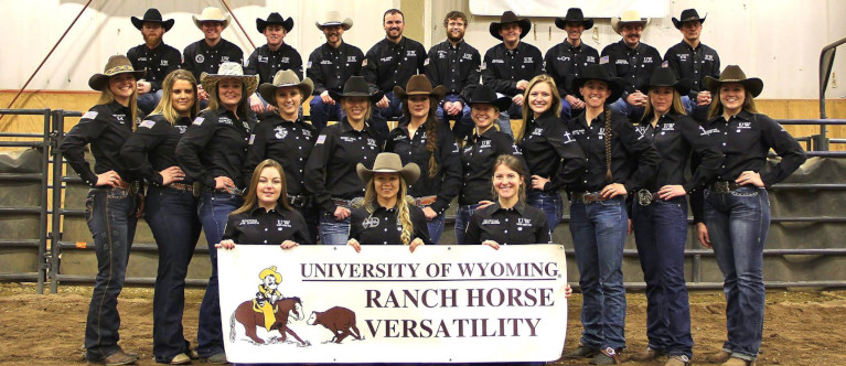 Ranch horse team