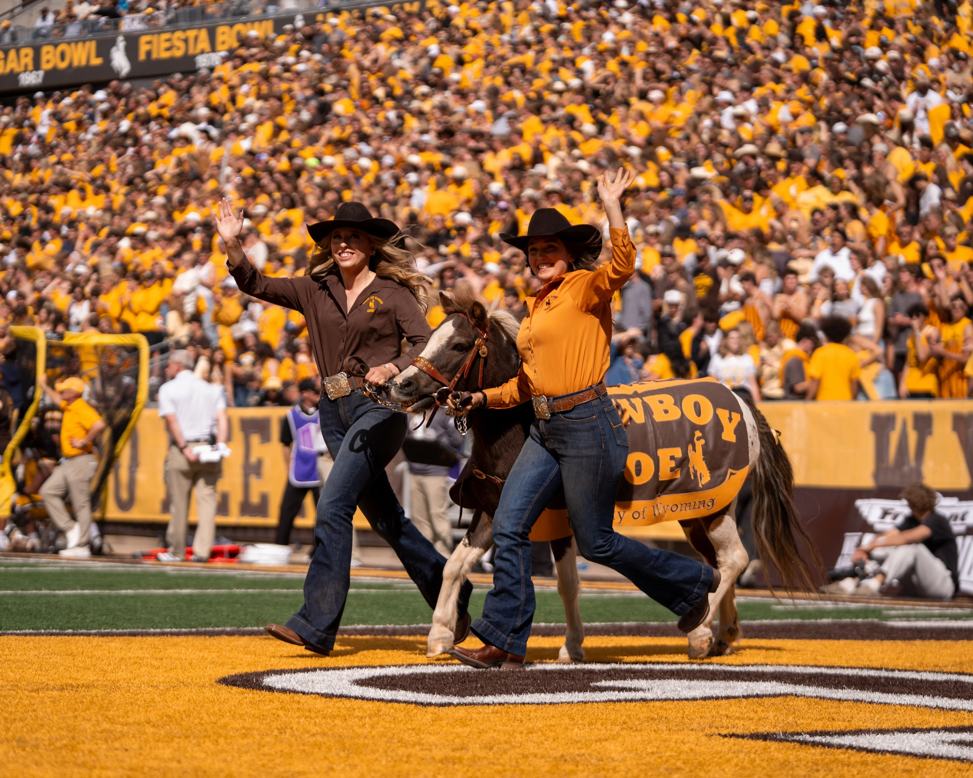 Cowboy Joe Handlers