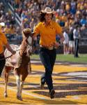 Cowboy Joe handler, Julia Halmay