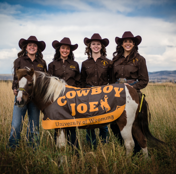 2025 Cowboy Joe Handlers